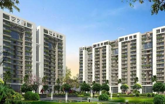 Tulip Violet Sector 69 Gurgaon